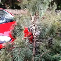 img-20180813-wa0003web.jpg