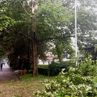 20170819_151818web.jpg