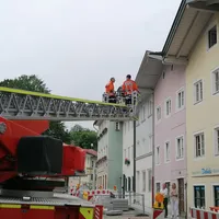 mauersegler_2_2022-06-03_at_171222.jpeg