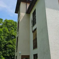 Bienen v-R-Schule.jpg