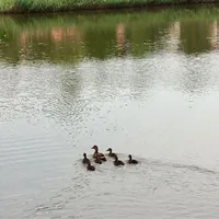 img-20170812-wa0002web.jpg