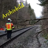 Baum über Gleis.jpg