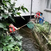 enten-ellbach.jpg