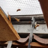 20170819_182202web.jpg