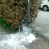 mulleimerweb.jpg